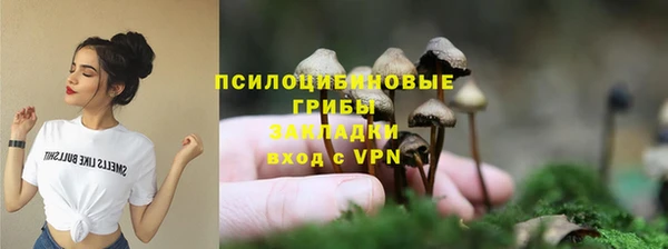 ешки Медвежьегорск