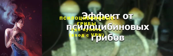 а пвп мука Мегион
