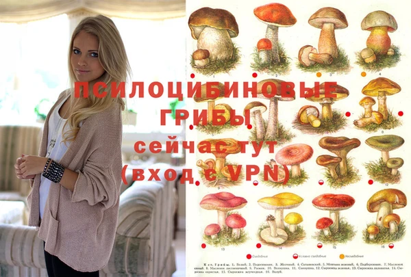 ешки Медвежьегорск