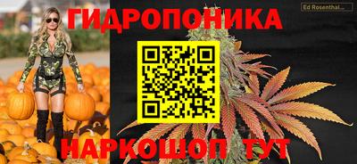 jwh Ирбит